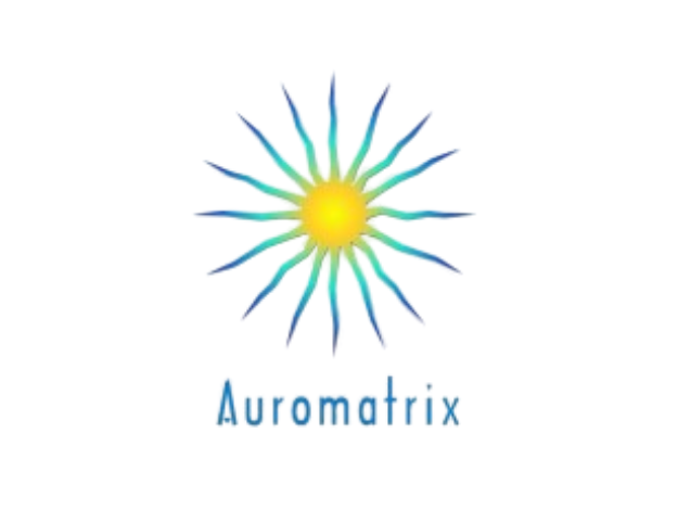 Auromatrix Hotels